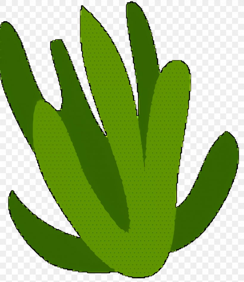 Green Leaf Logo, PNG, 1224x1412px, Leaf, Cactus, Flower, Green, Hand Download Free