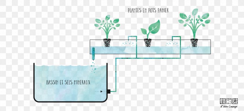 Hydroponics Aquaponics Farm L'Autre Campagne Technology, PNG, 2453x1125px, Hydroponics, Aquaponics, Area, Bed, Brand Download Free