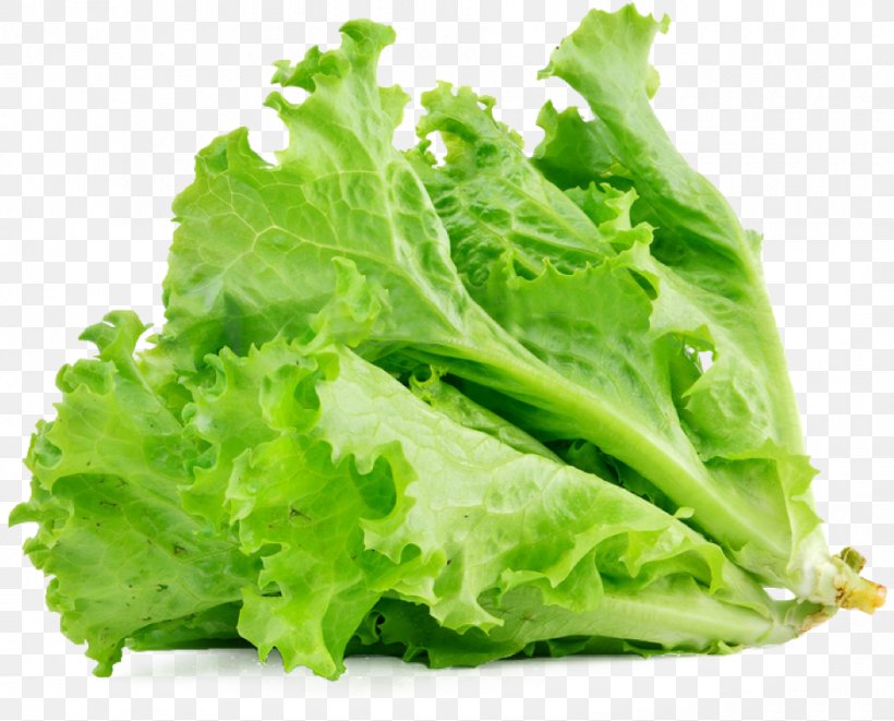 Lettuce Sandwich Butterhead Lettuce Vegetable Salad Food, PNG, 940x758px, Lettuce Sandwich, Butterhead Lettuce, Caesar Salad, Calorie, Collard Greens Download Free