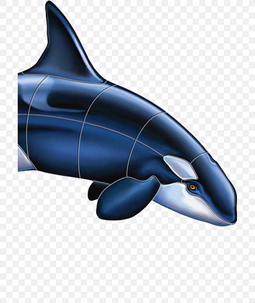 Common Bottlenose Dolphin Mosaic Killer Whale Ceramic Swimming Pools, PNG, 705x976px, Common Bottlenose Dolphin, Automotive Design, Bottlenose Dolphin, Ceramic, Dolphin Download Free