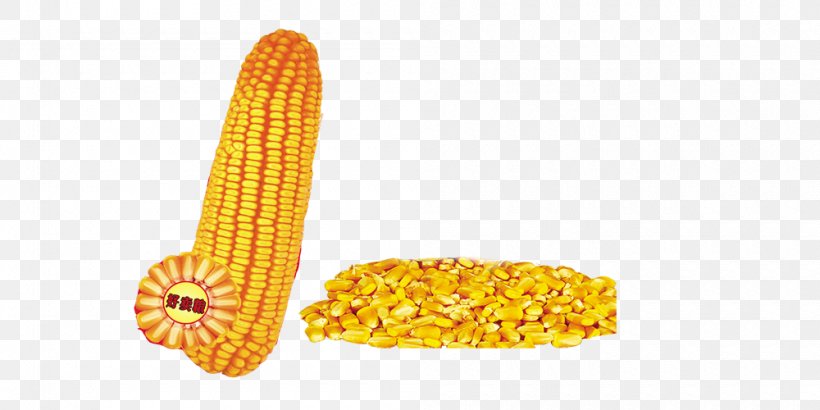 Corn On The Cob Maize Corn Kernel Sweet Corn, PNG, 1000x500px, Corn On The Cob, Commodity, Corn Kernel, Corn Kernels, Crop Download Free