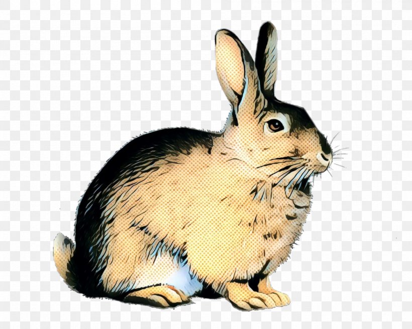 Domestic Rabbit Hare European Rabbit Cottontail Rabbit, PNG, 999x799px, Domestic Rabbit, Animal, Animal Figure, Cottontail Rabbit, European Rabbit Download Free
