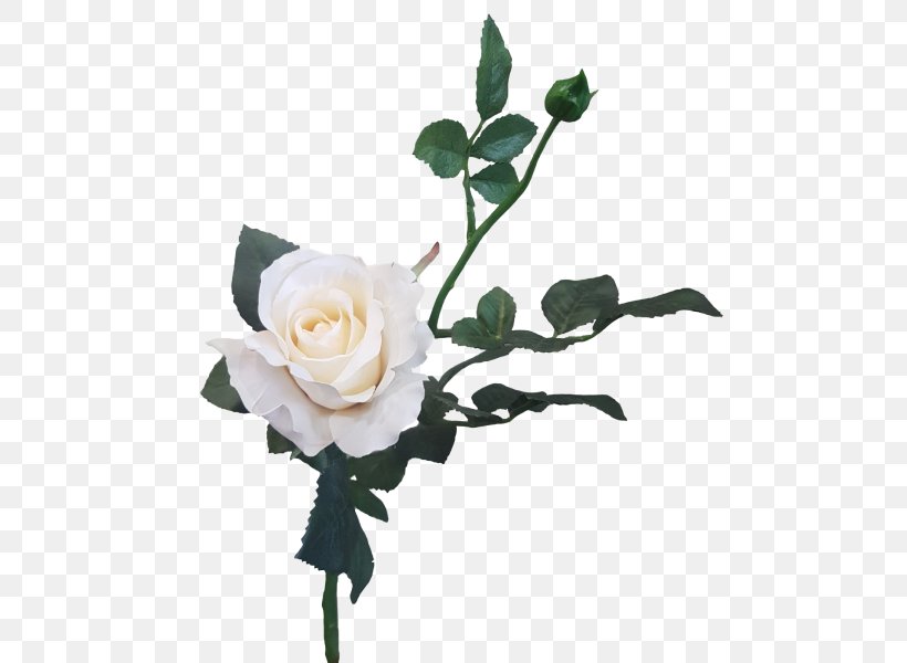 Garden Roses Gardenia Cut Flowers Floral Design, PNG, 800x600px, Garden Roses, Artificial Flower, Branch, Bud, Cut Flowers Download Free