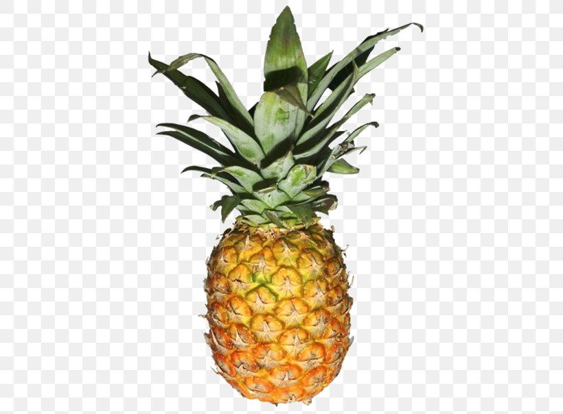 Pineapple, PNG, 432x604px, Pineapple, Ananas, Flowering Plant, Food, Fruit Download Free