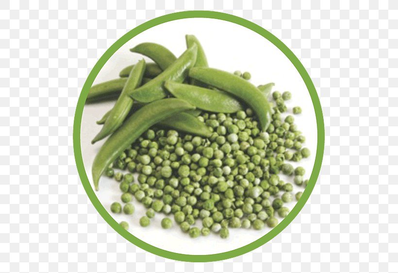 Vegetarian Cuisine Pea Vegetable Food Ingredient, PNG, 562x562px, Vegetarian Cuisine, Bean, Common Bean, Dried Fruit, Flavor Download Free