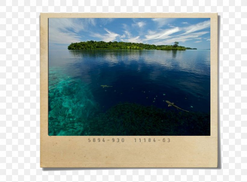 Water Resources Picture Frames Inlet Rectangle, PNG, 850x626px, Water Resources, Bbc, Inlet, Picture Frame, Picture Frames Download Free