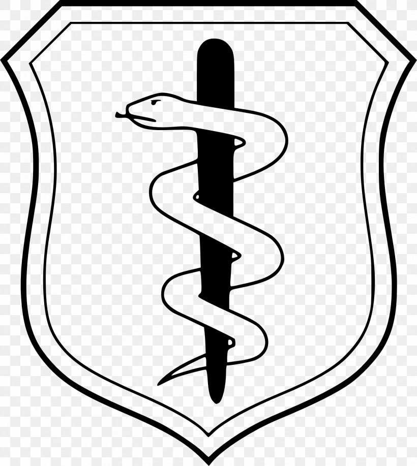 Badges Of The United States Air Force United States Air Force Medical Service Navy Medical Service Corps Air Force Specialty Code, PNG, 1716x1920px, Navy Medical Service Corps, Air Force, Air Force Specialty Code, Area, Army Officer Download Free