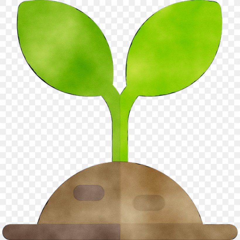 Product Design Leaf, PNG, 1016x1016px, Leaf, Flower, Green, Houseplant, Plant Download Free