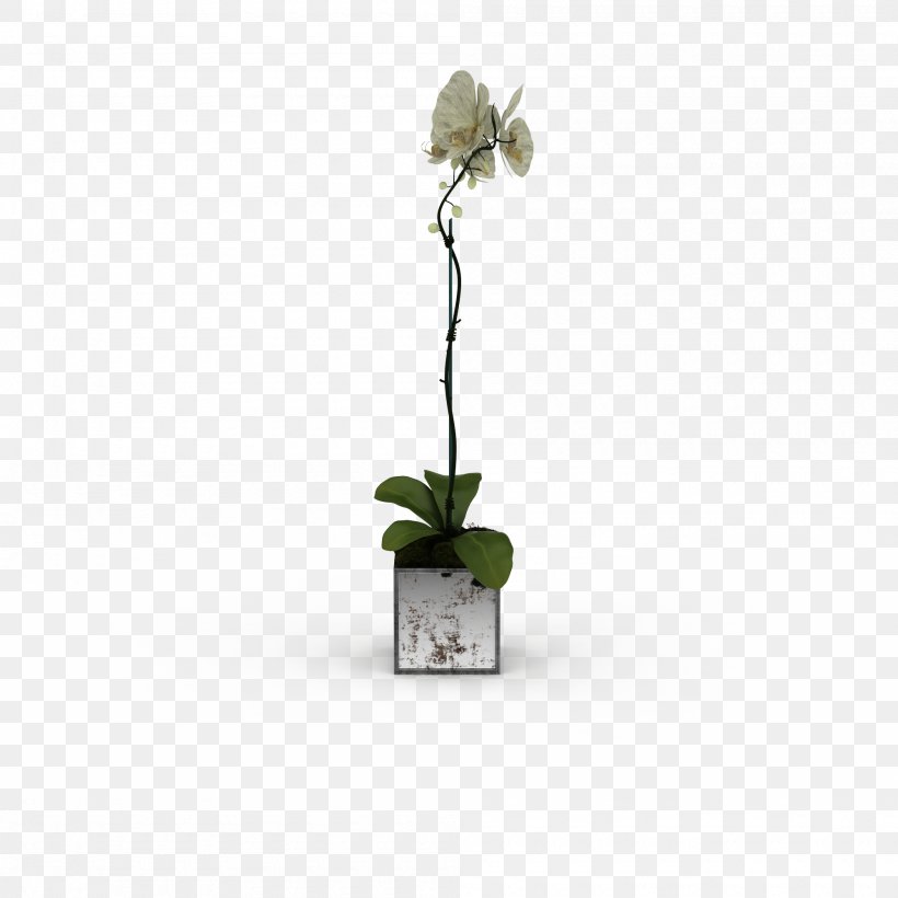 3D Computer Graphics 3D Modeling Flower, PNG, 2000x2000px, 3d Computer Graphics, 3d Modeling, Bonsai, Color, Computer Graphics Download Free