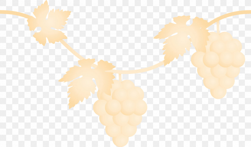 Leaf Yellow Plant Vitis Beige, PNG, 3000x1759px, Grape, Beige, Fruit, Grapes, Leaf Download Free