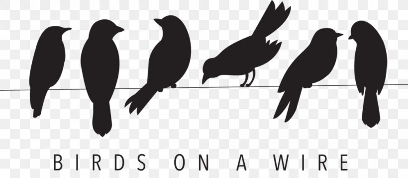 Bird Silhouette Stencil Clip Art, PNG, 1000x438px, Bird, Art, Beak, Bird On A Wire, Birdcage Download Free