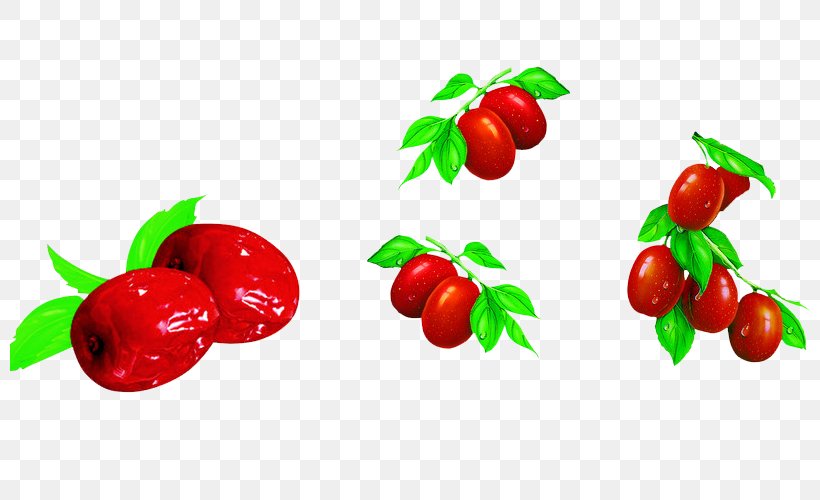 Loulan Red Jujube Loulan Hongzao Barbados Cherry, PNG, 800x500px, Jujube, Acerola, Acerola Family, Apple, Barbados Cherry Download Free
