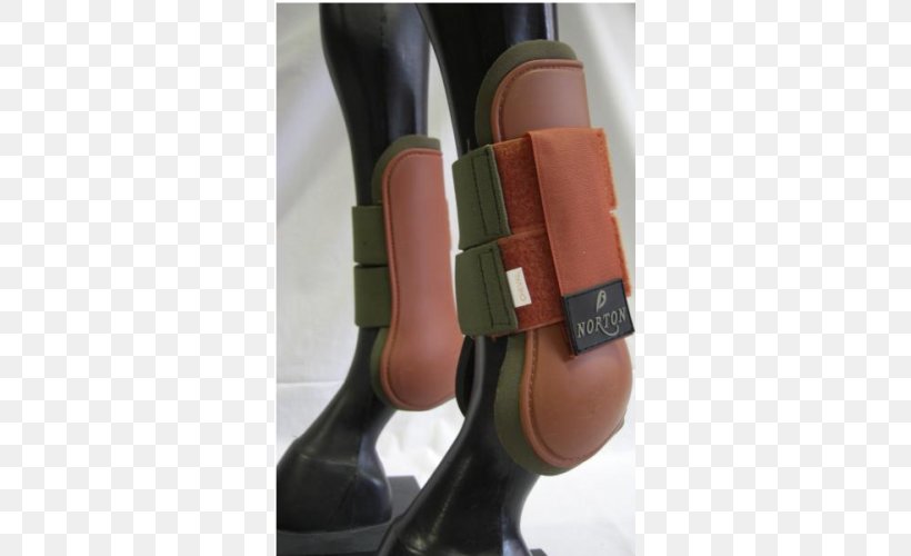 Riding Boot Ankle Shoe Equestrian Norton AntiVirus, PNG, 500x500px, Riding Boot, Ankle, Boot, Equestrian, Footwear Download Free