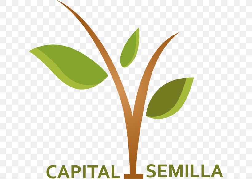 Seed Money Capital Funding Empresa Investor, PNG, 633x581px, Seed Money, Accounting, Brand, Business, Capital Download Free