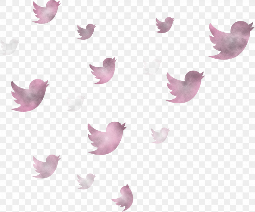 Twitter Flying Birds Birds, PNG, 3000x2500px, Twitter, Birds, Butterfly, Flying Birds, Petal Download Free