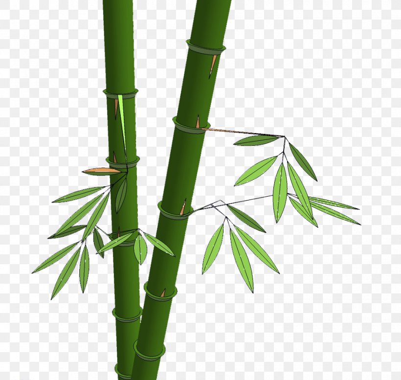 Bamboo Shoot Hsinchu, PNG, 940x891px, Bamboo, Bamboe, Bamboo Shoot, Culm, Estudante Download Free