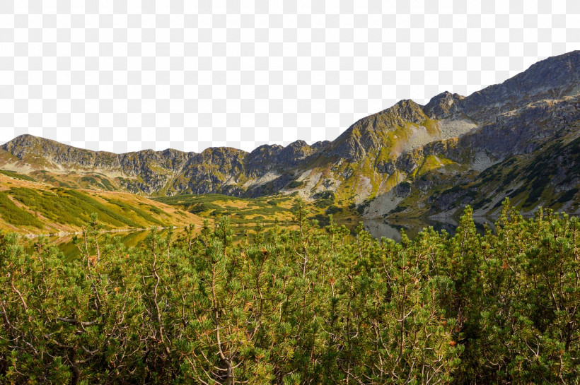 Biome Vegetation Mount Scenery Shrubland Wilderness, PNG, 1280x851px, Biome, Biology, Ecology, Hill Station, Mount Scenery Download Free