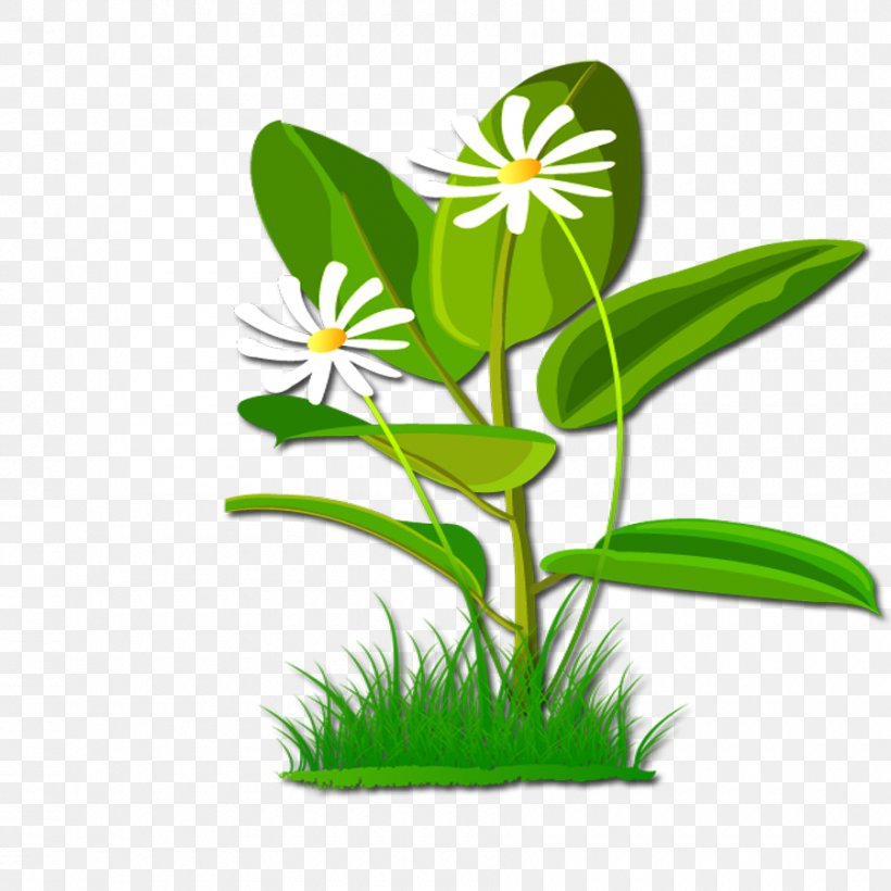 Flower Download Clip Art, PNG, 900x900px, Flower, Client, Flora, Flowering Plant, Flowerpot Download Free