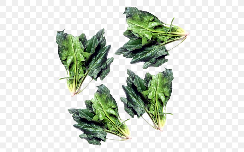 Pancake Greens Spinach Chard Vegetarian Cuisine, PNG, 500x512px, Pancake, Arugula, Beetroots, Chard, Flower Download Free