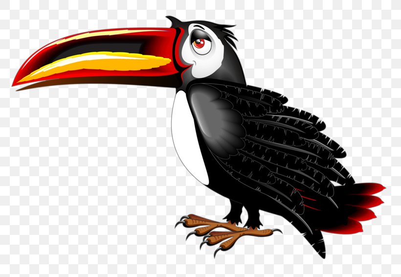 Toucan Bird Cartoon Clip Art, PNG, 800x566px, Toucan, Albom, Animation, Beak, Bird Download Free