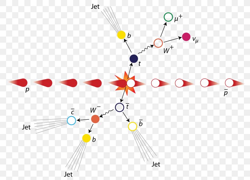 Top Quark Particle Tevatron Bottom Quark, PNG, 800x591px, Top Quark, Body Jewelry, Diagram, Elementary Particle, Material Download Free