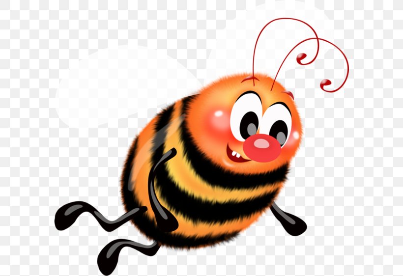 Western Honey Bee Insect Ladybird Beetle Clip Art, PNG, 600x562px, Bee, Animal, Bumblebee, Cartoon, Drawing Download Free