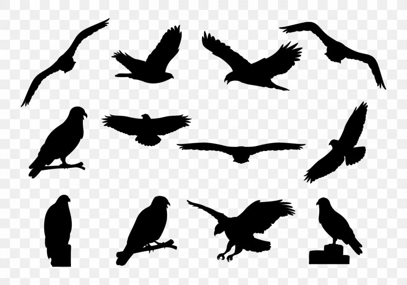 Eagle Silhouette Common Buzzard, PNG, 1400x980px, Eagle, Animal, Animal Migration, Beak, Bird Download Free
