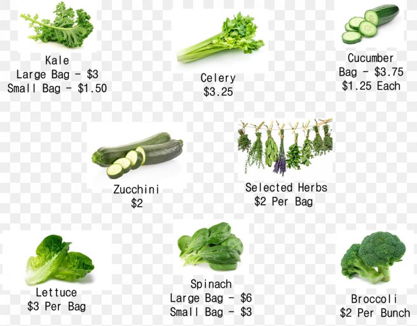 IHerb Douchegordijn Leaf Vegetable Superfood, PNG, 1021x800px, Herb, Blanket, Curtain, Douchegordijn, Food Download Free