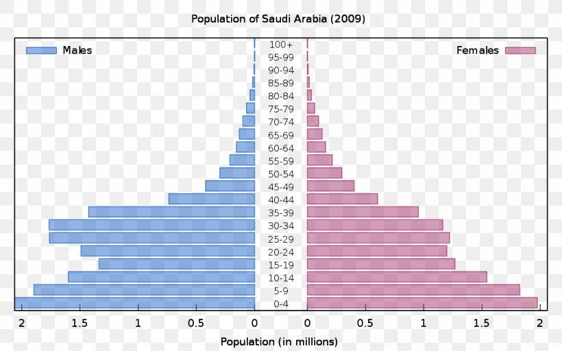 Population Pyramid World Population Prospects: The 2008 Revision Europe, PNG, 1000x625px, Population Pyramid, Chart, Data, Demography, Diagram Download Free