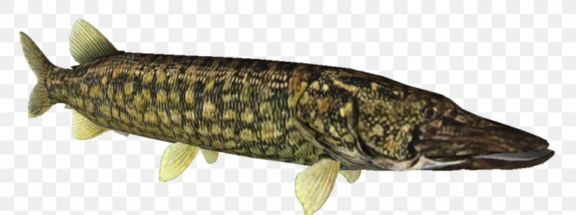 Fish Products Northern Pike Carp Pikes, PNG, 1024x383px, Fish, Animal Figure, Carp, Fauna, Fish Products Download Free