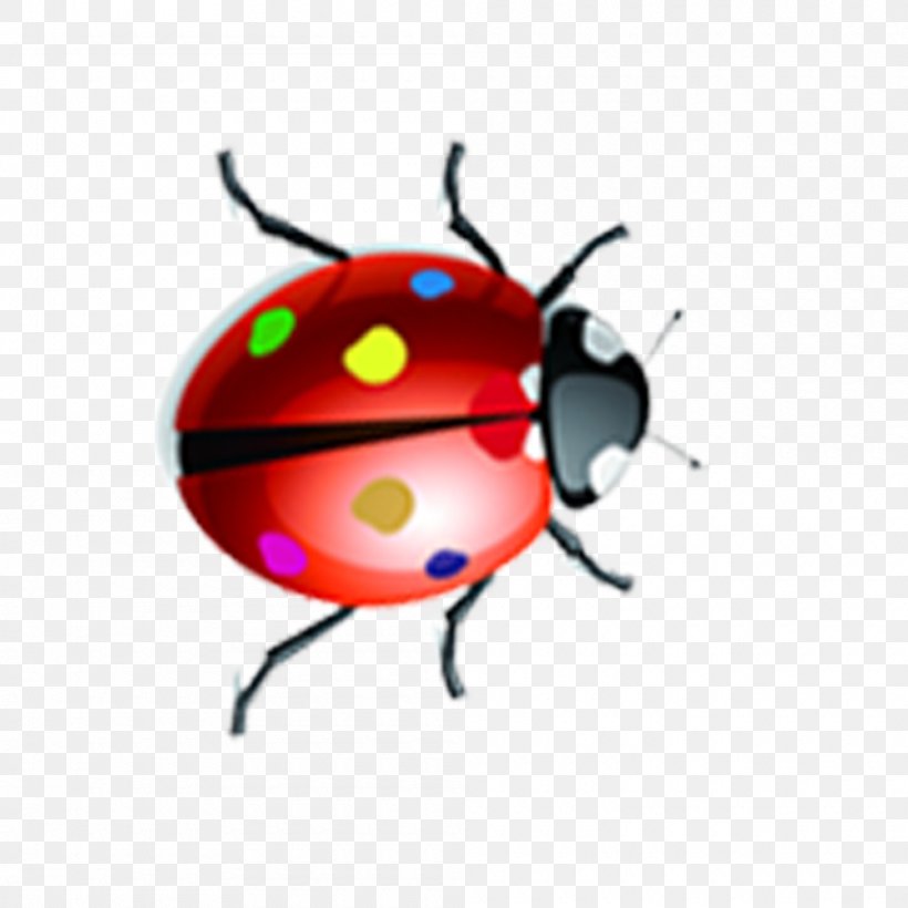 Ladybird Insect Drawing, PNG, 1000x1000px, Ladybird, Animal, Animation, Beetle, Cartoon Download Free