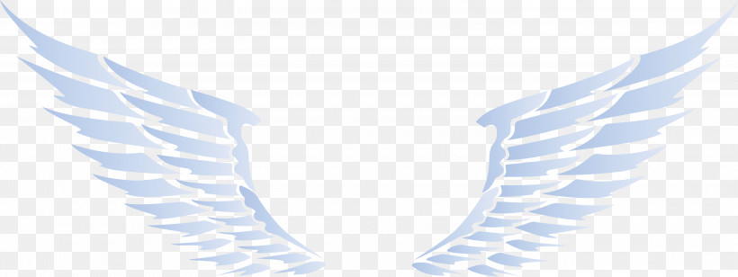 Wings Bird Wings Angle Wings, PNG, 3000x1130px, Wings, Angle Wings, Bird Wings, Line, White Download Free