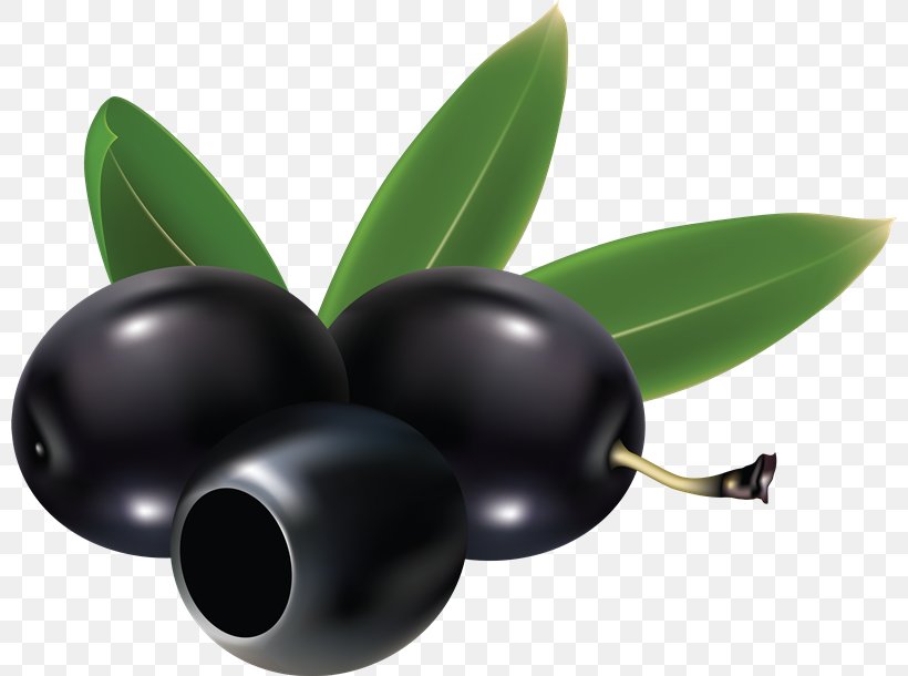 Olive Clip Art, PNG, 800x610px, Olive, Food, Fruit, Image File Formats, Olive Branch Download Free