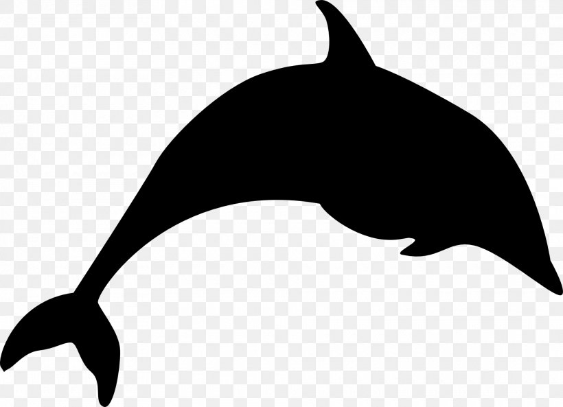 Tucuxi Killer Whale Dolphin Clip Art Fauna, PNG, 1920x1389px, Tucuxi, Beak, Black M, Bottlenose Dolphin, Cetacea Download Free
