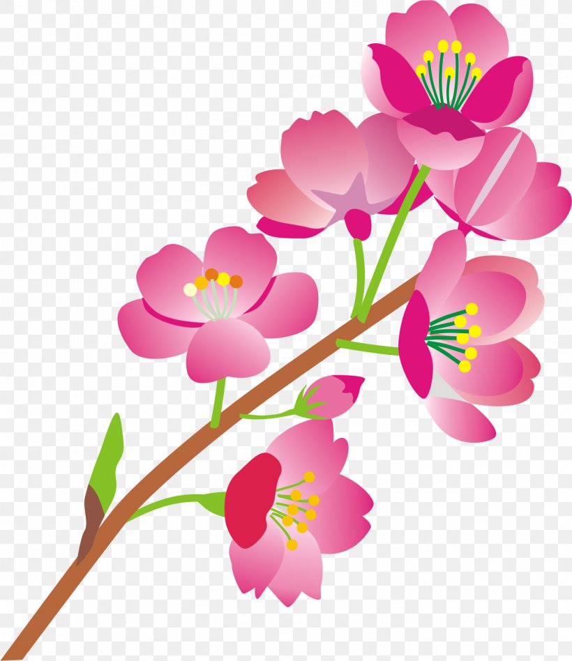 Windows Thumbnail Cache Flower Floral Design 0, PNG, 1453x1680px, 2008, Windows Thumbnail Cache, Afternoon, Annual Plant, Blossom Download Free