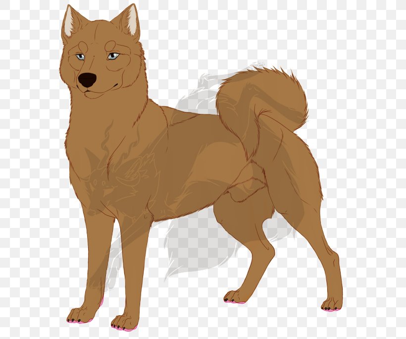 Dog Breed Finnish Spitz Dhole Fur, PNG, 600x684px, Dog Breed, Breed, Carnivoran, Dhole, Dog Download Free