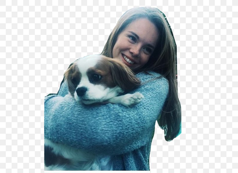 Lisa Teige Skam Eva Kviig Mohn Isak Valtersen, PNG, 516x595px, Lisa Teige, Beagle, Carnivoran, Companion Dog, Dog Download Free