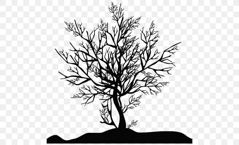 Tree Photography Silhouette Clip Art, PNG, 500x500px, Tree, Artwork, Black And White, Branch, Deciduous Download Free