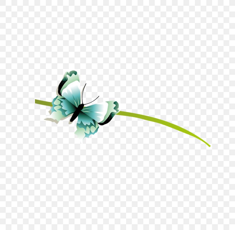 Butterfly Green, PNG, 800x800px, Butterfly, Cartoon, Flower, Green, Insect Download Free