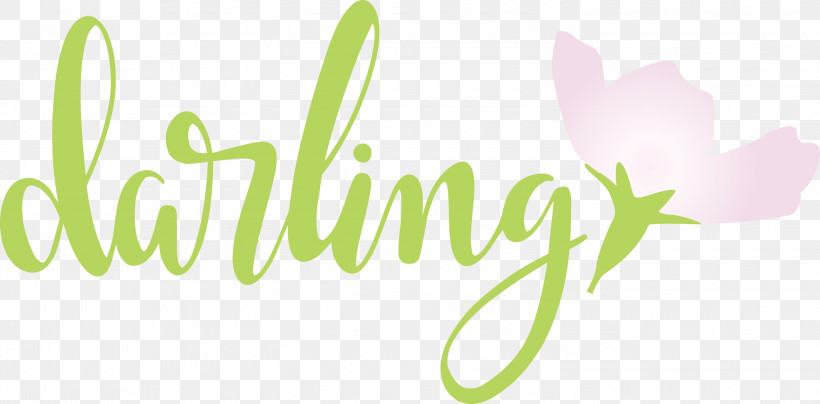 Darling Wedding, PNG, 3000x1481px, Darling, Flower, Green, Logo, Meter Download Free