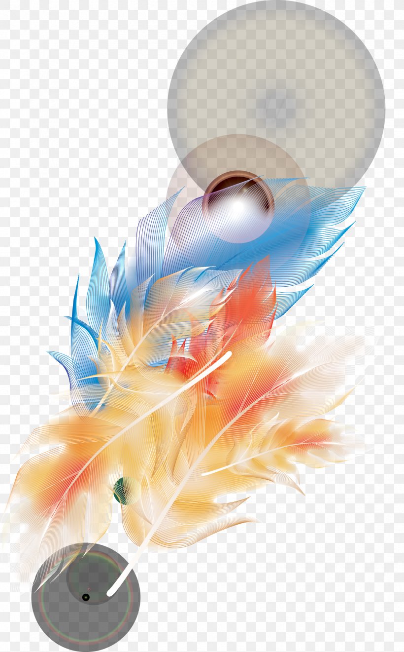 Feather, PNG, 1750x2820px, Feather, Art, Color, Computer Graphics, Designer Download Free