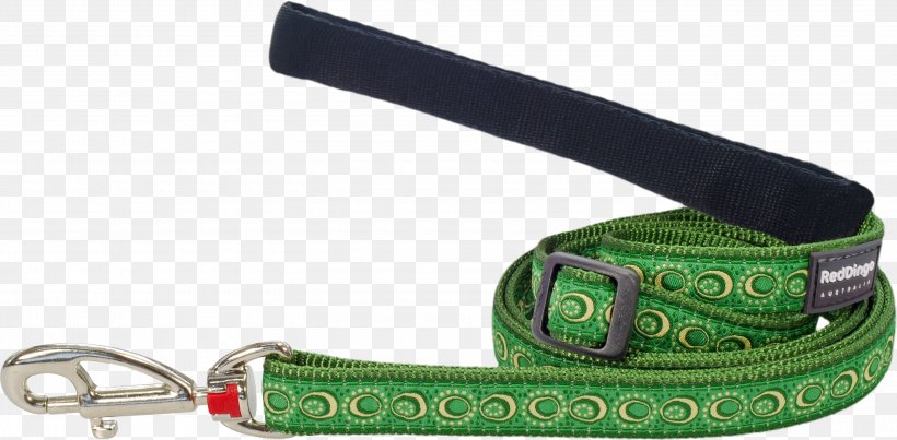 Leash Dog Strap Dingo Belt, PNG, 3000x1477px, Leash, Belt, Centimeter, Dingo, Dog Download Free