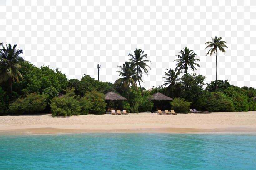 Maldives Hilton Hotels & Resorts, PNG, 1200x800px, Maldives, Arecales, Beach, Caribbean, Fukei Download Free