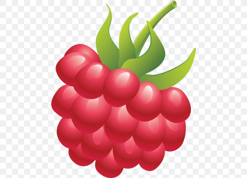 Clip Art Raspberry Openclipart Fruit, PNG, 480x591px, Raspberry, Auglis, Berry, Boysenberry, Cherry Download Free