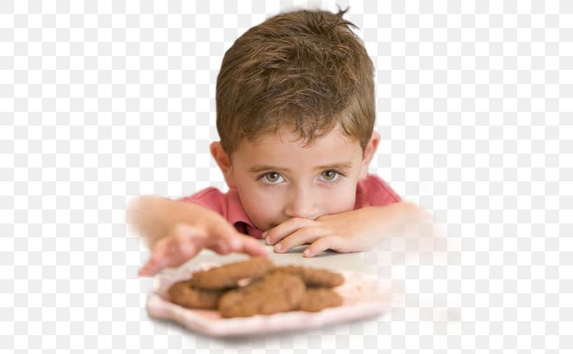 Eating Oatmeal Cookie Biscuits Cuisine, PNG, 515x507px, Eating, Biscuit, Biscuits, Can Stock Photo, Child Download Free