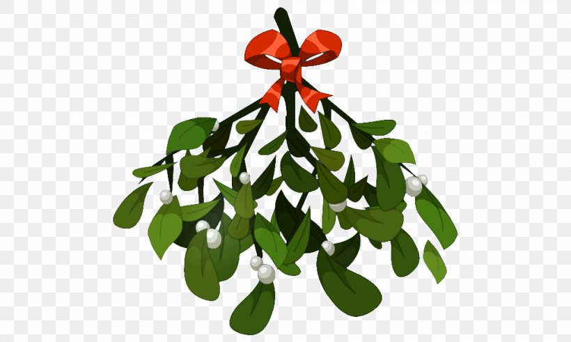 Mistletoe Phoradendron Tomentosum Christmas Clip Art, PNG, 1000x600px, Mistletoe, Branch, Christmas, Christmas Decoration, Christmas Ornament Download Free
