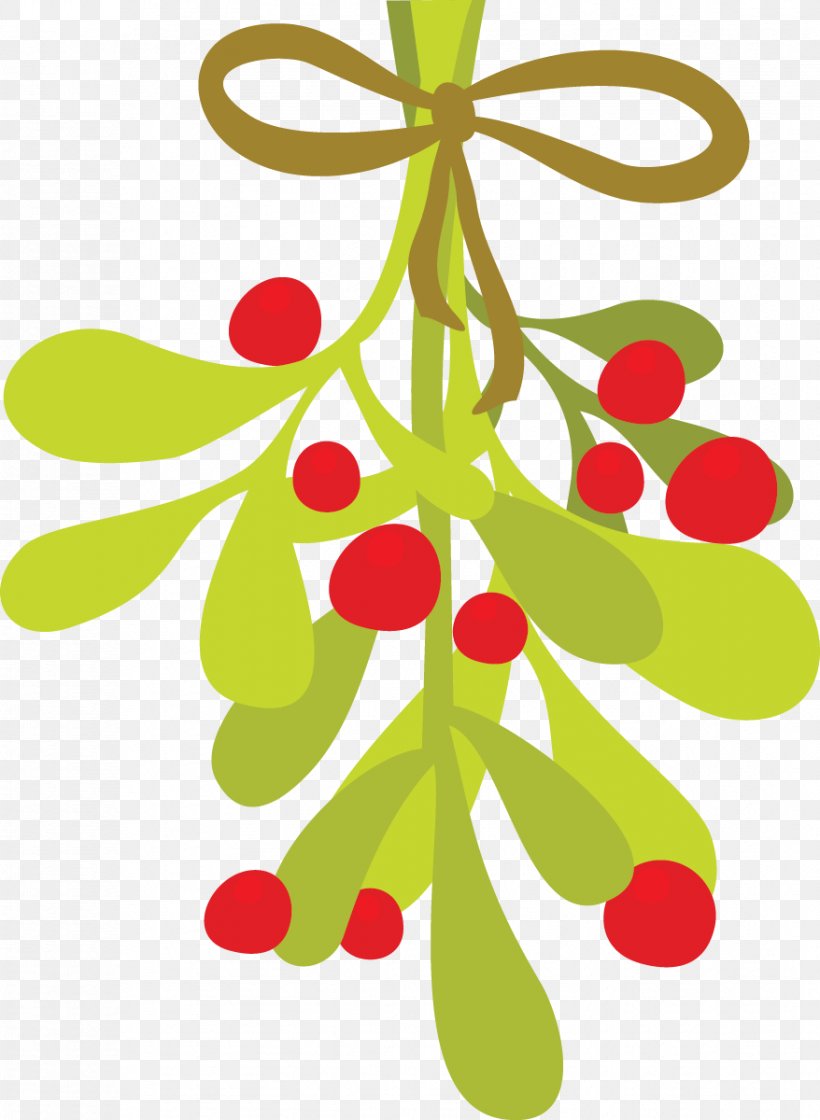 Mistletoe Phoradendron Tomentosum Clip Art, PNG, 878x1200px, Mistletoe, Artwork, Branch, Christmas Decoration, Christmas Ornament Download Free