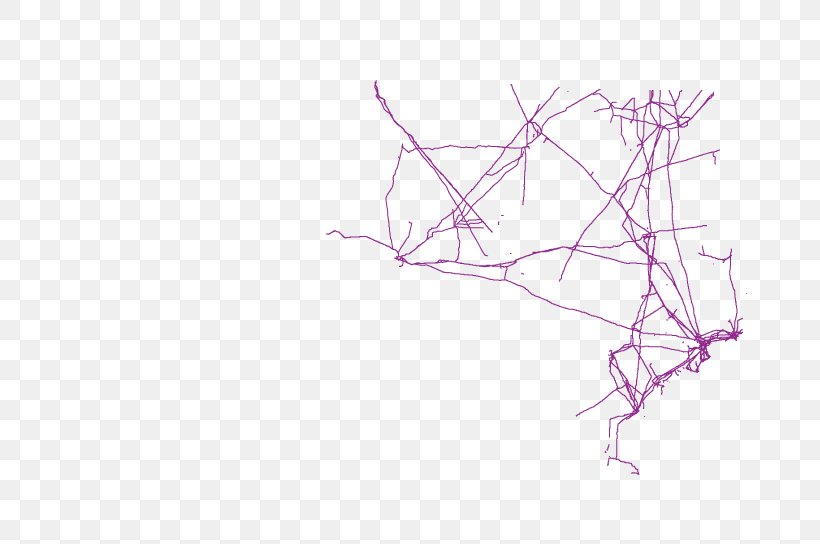 Product Design Drawing Line Pink M, PNG, 750x544px, Drawing, Branch, Pink, Pink M, Purple Download Free