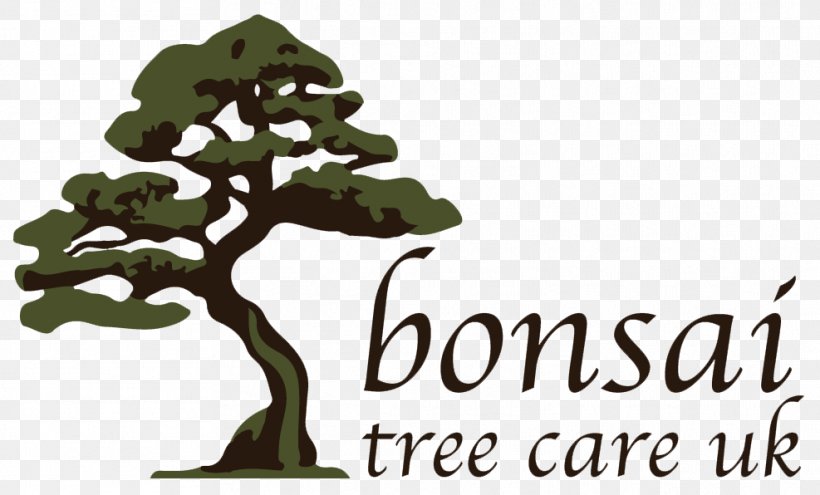 Tree The Living Art Of Bonsai Logo Waterboard Me, PNG, 987x596px, Tree, Bonsai, Grass, Leaf, Logo Download Free