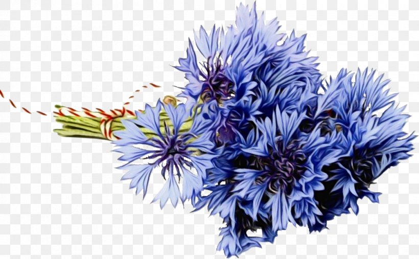 Floral Flower Background, PNG, 1007x625px, Flower Bouquet, Artificial Flower, Blue, Blue Flower, Cornflower Download Free